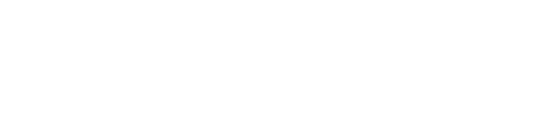 TDN-Logo.png